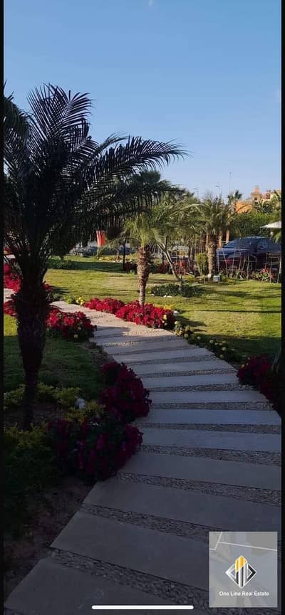 1 Bedroom Flat for Rent in 6th of October, Giza - cfbd186b-ee27-4609-8971-5bf1503b0210. jpeg 1 Bedroom Flat for Rent in 6th of October, Giza - cfbd186b-ee27-4609-8971-5bf1503b0210. jpeg