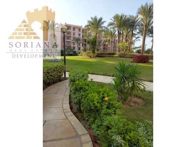 استوديو للبيع في القاهرة الجديدة، القاهرة - -m_qdmzJ. jpg استوديو للبيع في القاهرة الجديدة، القاهرة - -m_qdmzJ. jpg