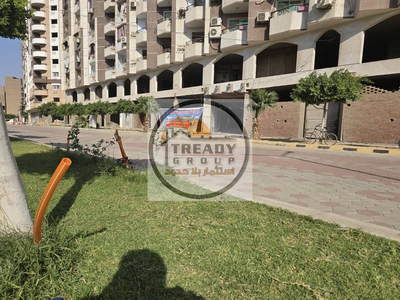 For owners of major brands, agencies, and investors | An exceptional business opportunity that does not repeat in Jasmine Gardens compound - Ansicht 6