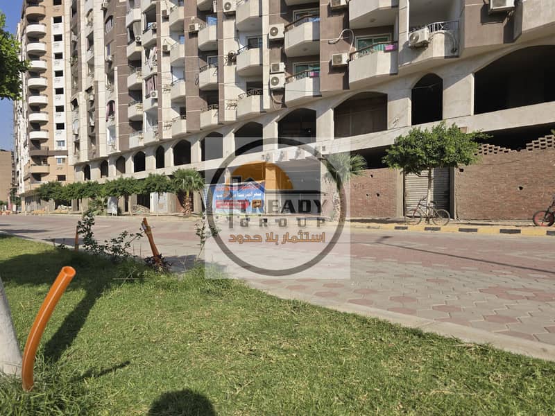 8 1000560062. jpg
