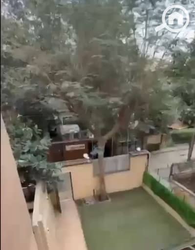 8 Bedroom Villa for Sale in Heliopolis, Cairo - 1000942972. jpg