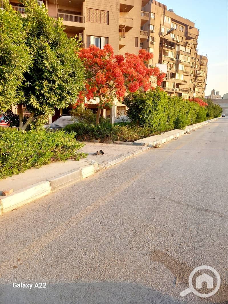 14 1000308480. jpg