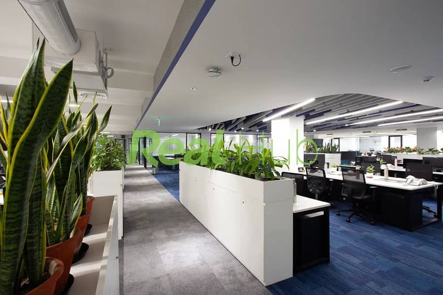 7 Biophilic-1024x683. jpg