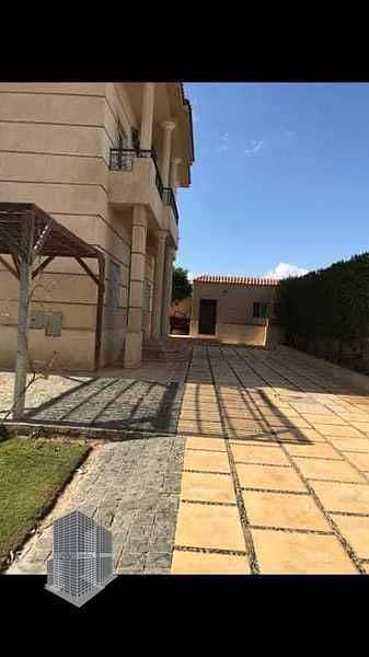 Prime Acre for Sale in Sheikh Zayed – Green Revolution Area - Widok 4