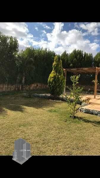Prime Acre for Sale in Sheikh Zayed – Green Revolution Area - Więcej