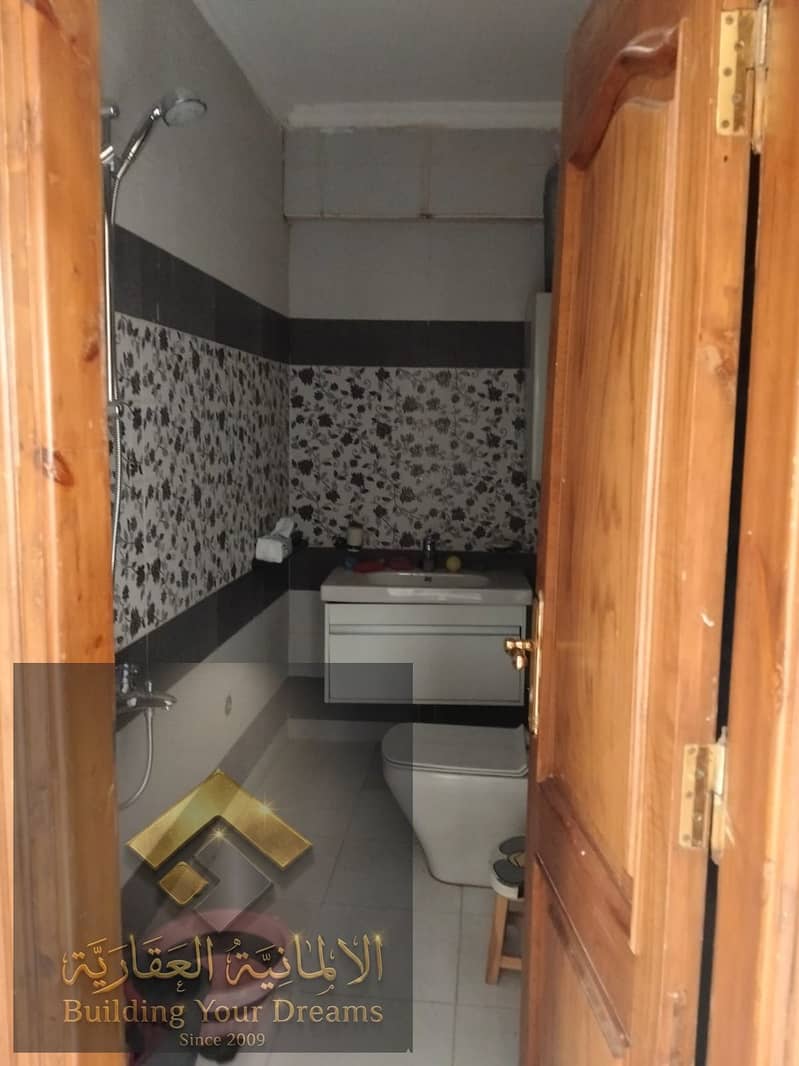 3 277790. jpg