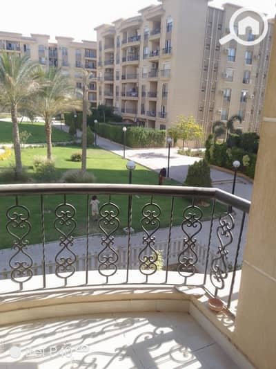 3 Bedroom Apartment for Rent in New Cairo, Cairo - IMG-20260608-WA0026. jpg 3 Bedroom Apartment for Rent in New Cairo, Cairo - IMG-20260608-WA0026. jpg