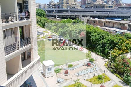 3 Bedroom Apartment for Rent in Smoha, Alexandria - 1. jpg 3 Bedroom Apartment for Rent in Smoha, Alexandria - 1. jpg