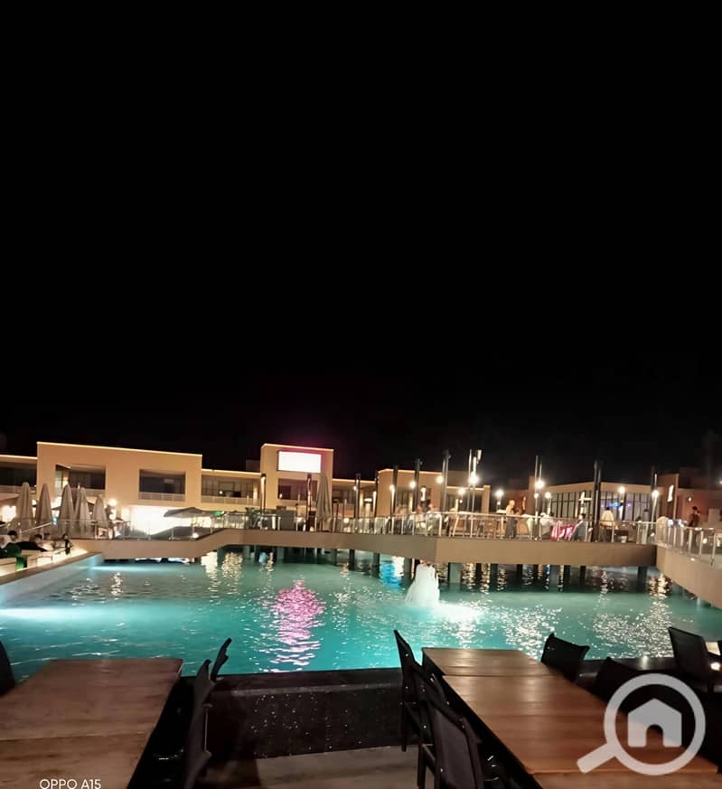 3 600304. jpg