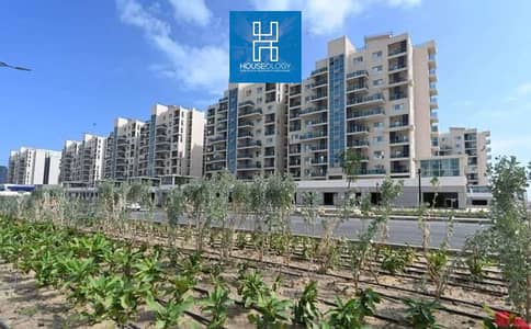 Retail for Sale in North Coast, Matruh - WhatsApp Image 2026-06-09 at 16.13. 14 (7). jpeg Retail for Sale in North Coast, Matruh - WhatsApp Image 2026-06-09 at 16.13. 14 (7). jpeg