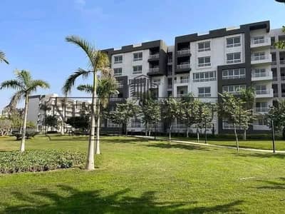 3 Bedroom Flat for Sale in Madinaty, Cairo - WhatsApp Image 2026-06-09 at 4.59. 46 PM. jpeg 3 Bedroom Flat for Sale in Madinaty, Cairo - WhatsApp Image 2026-06-09 at 4.59. 46 PM. jpeg