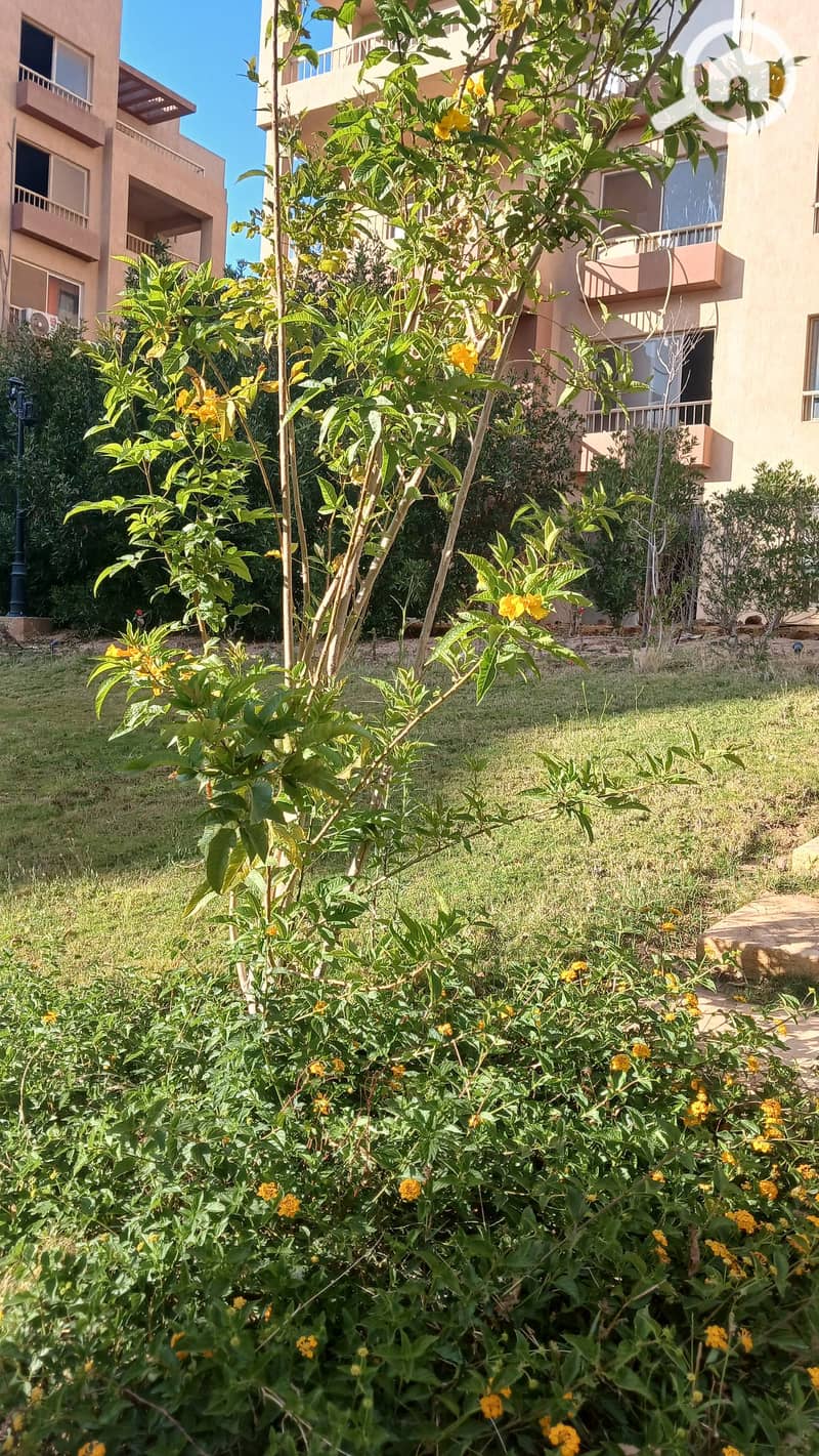 For sale a 200 sqm apartment with a 200 sqm garden directly on the lake in Garden Hills compound, 6th of October, Northern expansions - Widok 2