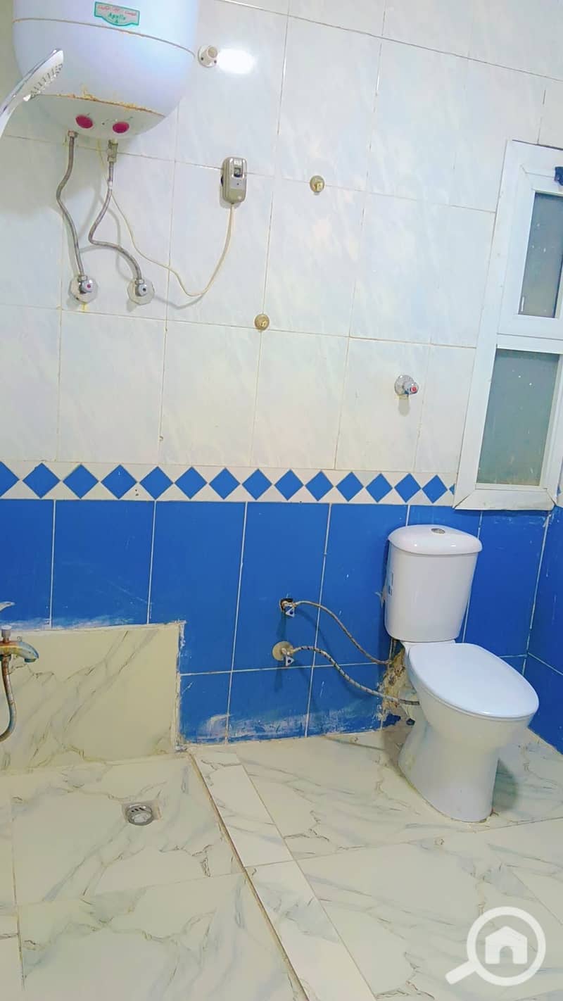 30 1000343173. jpg