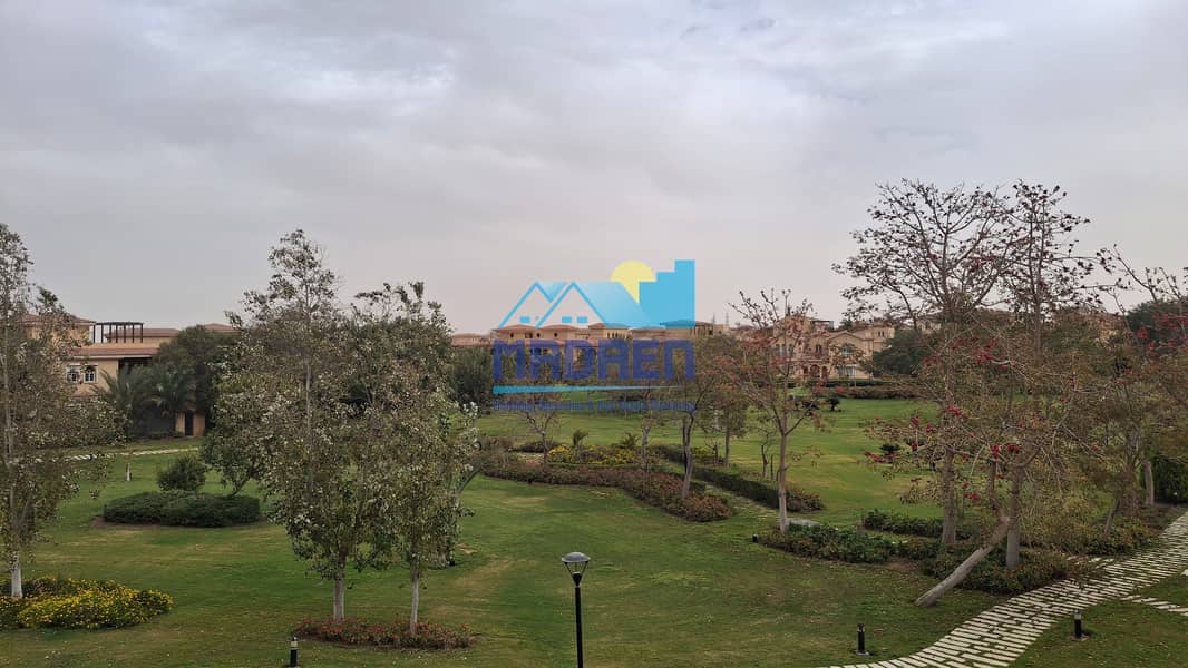 5 20260318_121720. jpg