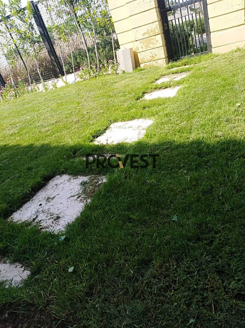 3 1000378899. jpg