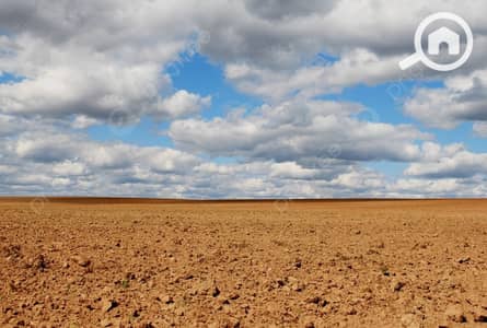Commercial Land for Sale in New Cairo, Cairo - 1001086866. jpg