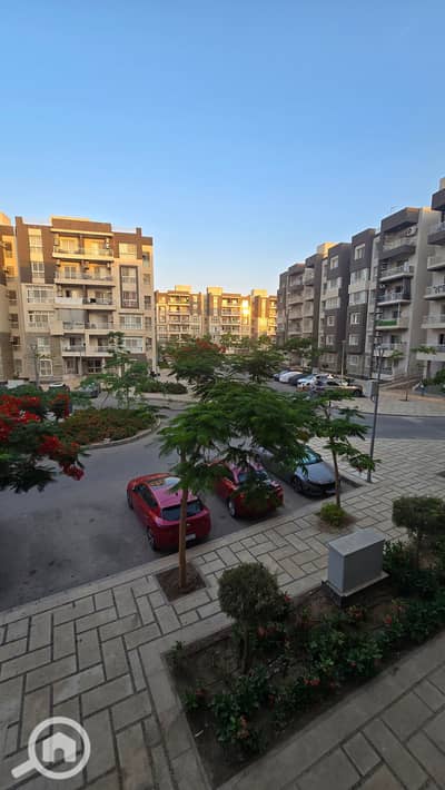 3 Bedroom Flat for Sale in Madinaty, Cairo - 1000832885. jpg 3 Bedroom Flat for Sale in Madinaty, Cairo - 1000832885. jpg
