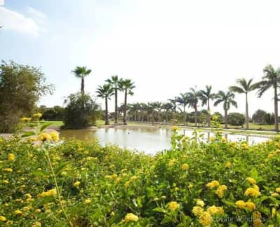 10+ Beds Other Residential for Sale in 6th of October, Giza - Screenshot 2026-06-10 224534. jpg