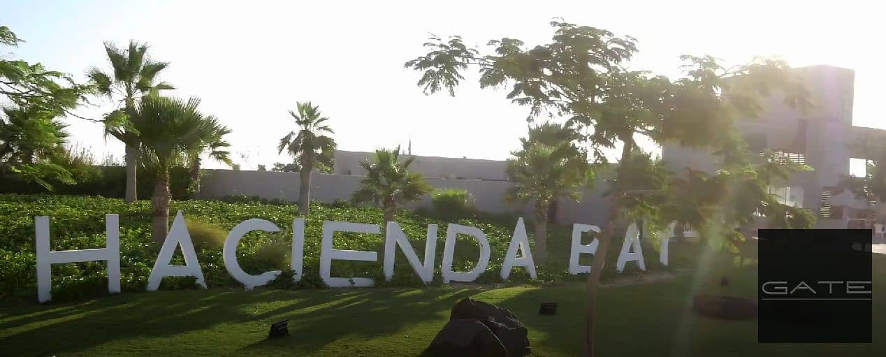 6 real (1). png