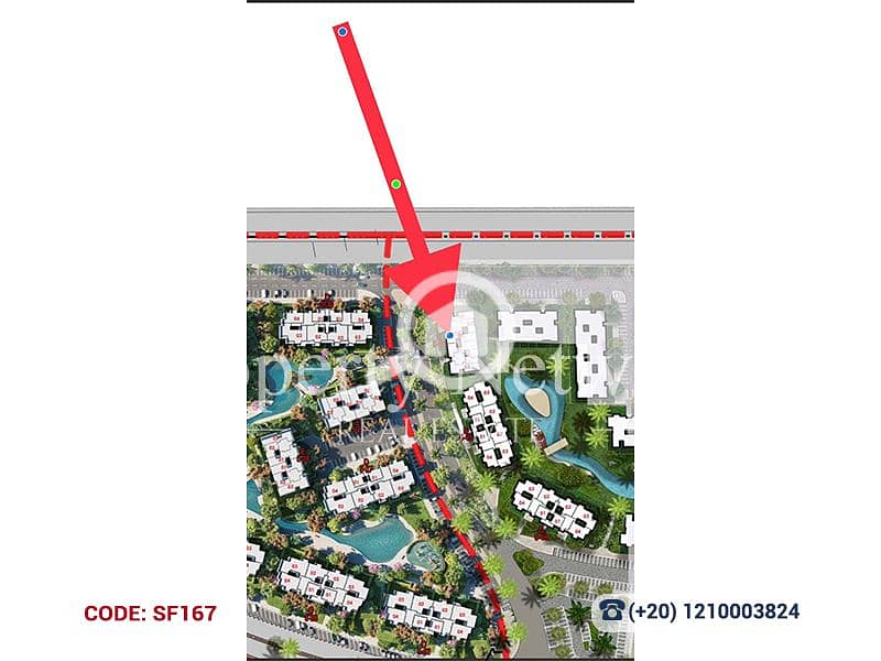 14 SF167 (14). png