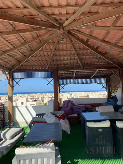 2 Bedroom Penthouse for Sale in North Coast, Matruh - WhatsApp Image 2026-06-10 at 9.18. 18 PM (2). jpeg