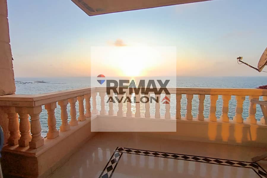 2 WhatsApp Image 2026-05-23 at 3.51. 42 PM (1). jpg