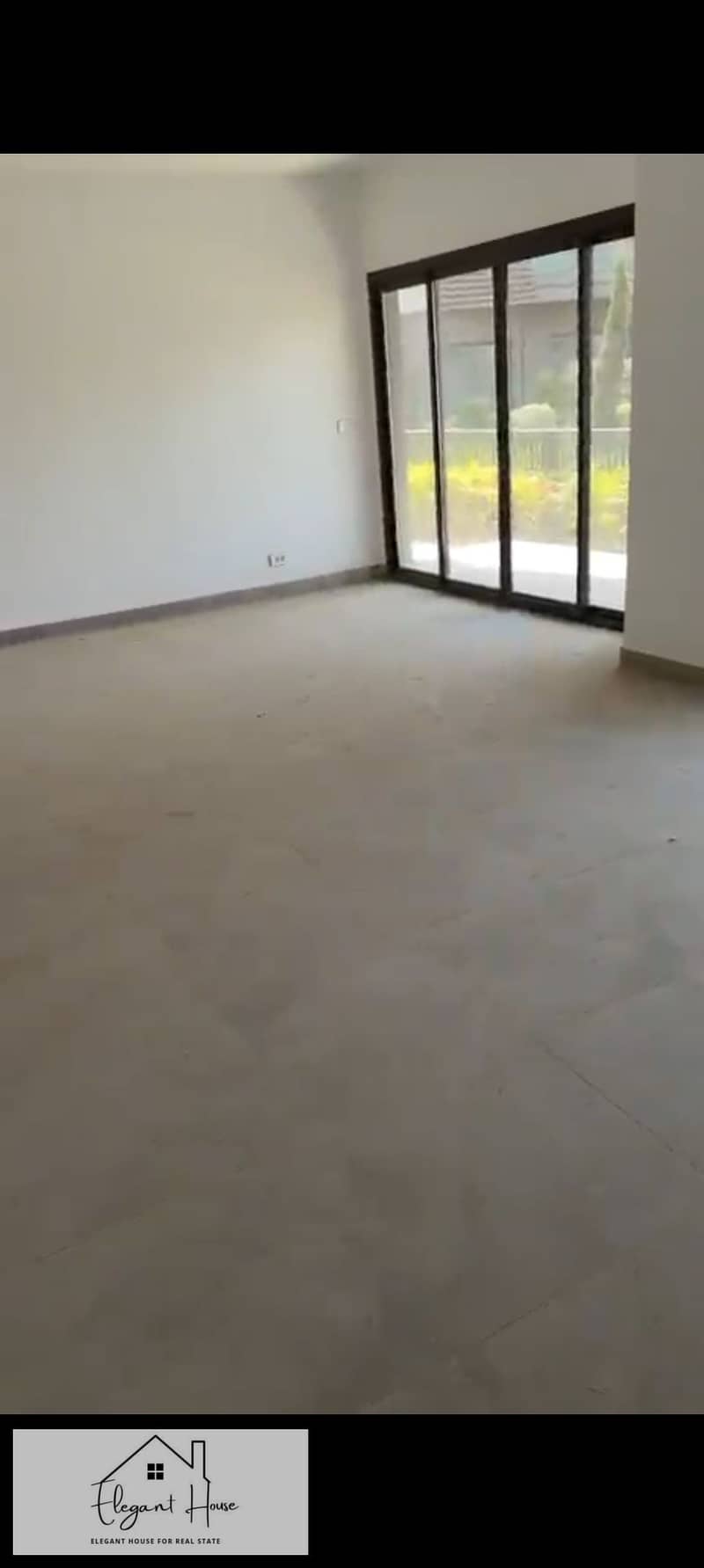 3 378004. jpg