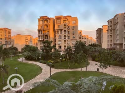3 Bedroom Flat for Sale in Madinaty, Cairo - IMG-20260611-WA0052. jpg 3 Bedroom Flat for Sale in Madinaty, Cairo - IMG-20260611-WA0052. jpg