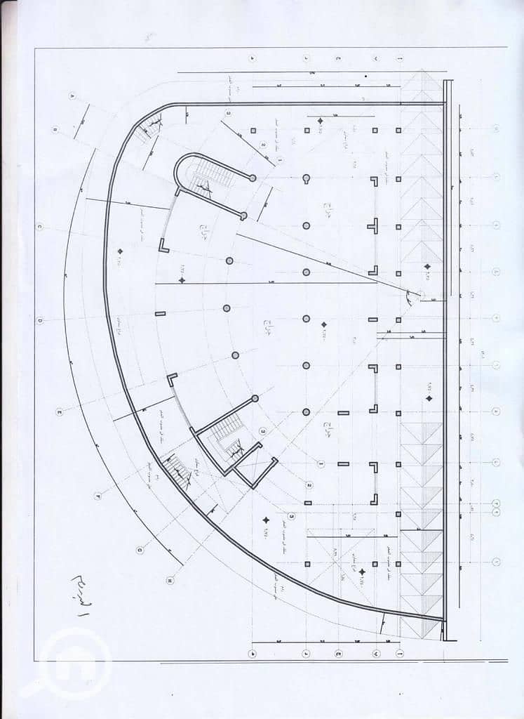 4 98cef0d1-9964-4ca0-8339-dea5ec29a21a. jpg