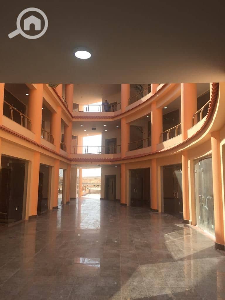 7 dd20ebe5-ae57-4de8-a0d5-e85b2a5c274e. jpg