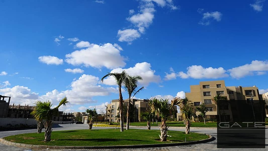 5 Palm-Parks. jpg