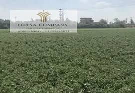 Code 247 Agricultural land for sale on the Tanta-Kafr El-Zayat road, opposite Al-Salam University, after the railway line. Green contract. Price per – pohled 5