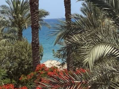 2 Bedroom Chalet for Sale in Ain Sukhna, Suez - شاليه داخل فندق بالميرا العين السخنه 2 Bedroom Chalet for Sale in Ain Sukhna, Suez - شاليه داخل فندق بالميرا العين السخنه