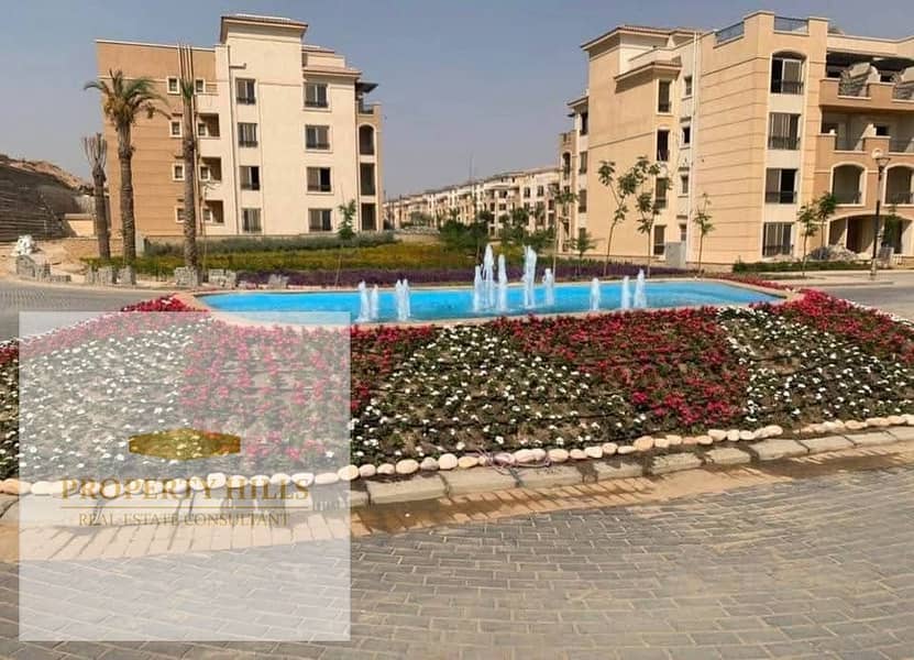 7 9082. jpg