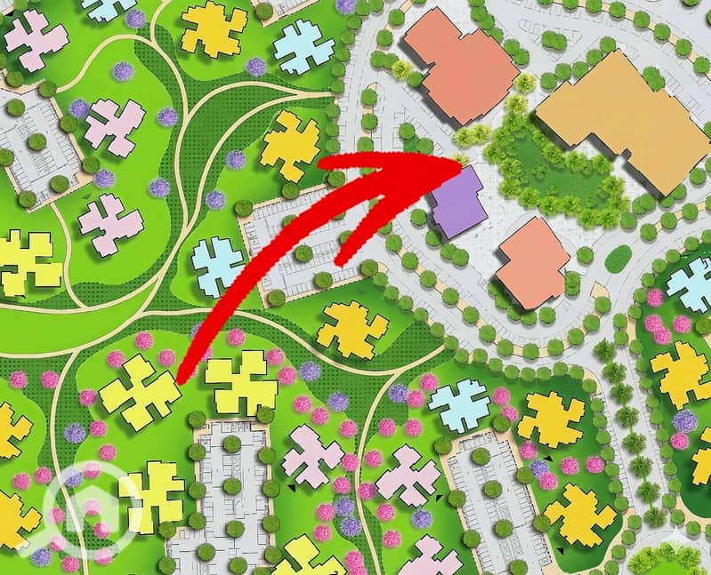 3 1000659746. jpg