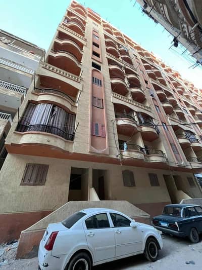 2 Bedroom Apartment for Rent in Agami, Alexandria - شقة مصيفى يومى اسبوعى للايجار 2 Bedroom Apartment for Rent in Agami, Alexandria - شقة مصيفى يومى اسبوعى للايجار