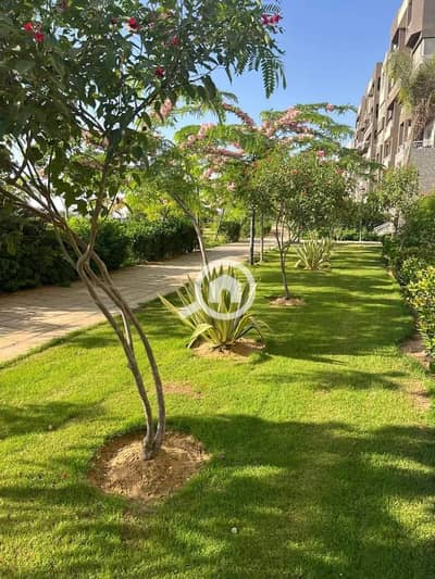 3 Bedroom Flat for Sale in Madinaty, Cairo - 1000652516. jpg 3 Bedroom Flat for Sale in Madinaty, Cairo - 1000652516. jpg