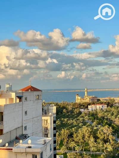 3 Bedroom Flat for Rent in Mandara, Alexandria - e72d54d5-b047-4633-8e92-5d9834bcdea2. jpg 3 Bedroom Flat for Rent in Mandara, Alexandria - e72d54d5-b047-4633-8e92-5d9834bcdea2. jpg
