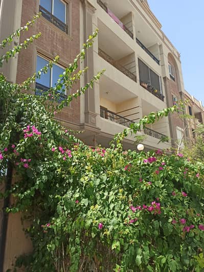 3 Bedroom Apartment for Sale in Shorouk City, Cairo - شقه بمدينة الشروق فى مربع سكنى راقى بمكان خاص للسياره 3 Bedroom Apartment for Sale in Shorouk City, Cairo - شقه بمدينة الشروق فى مربع سكنى راقى بمكان خاص للسياره