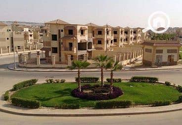 8 Royal City 1. jpg
