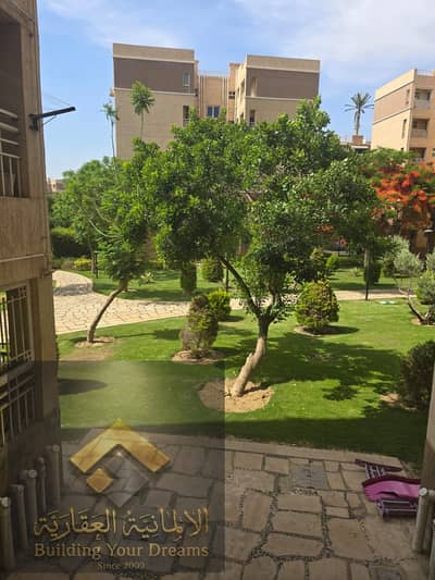 2 Bedroom Flat for Rent in Madinaty, Cairo - 42883. jpg 2 Bedroom Flat for Rent in Madinaty, Cairo - 42883. jpg