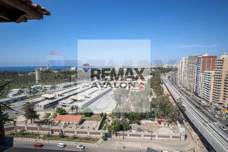 4 Bedroom Apartment for Sale in Montazah, Alexandria - -. jpg 4 Bedroom Apartment for Sale in Montazah, Alexandria - -. jpg