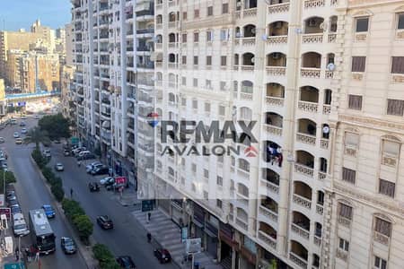 3 Bedroom Apartment for Sale in Smoha, Alexandria - WhatsApp Image 2026-06-11 at 11.40. 50 AM (4). jpg 3 Bedroom Apartment for Sale in Smoha, Alexandria - WhatsApp Image 2026-06-11 at 11.40. 50 AM (4). jpg
