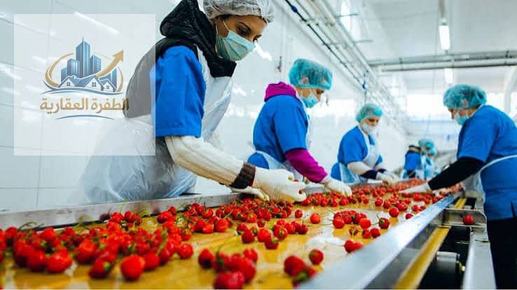 Food factory for sale in Al Alf Factory, Al Tagamoa Al Khames, Super Lux - Widok 3