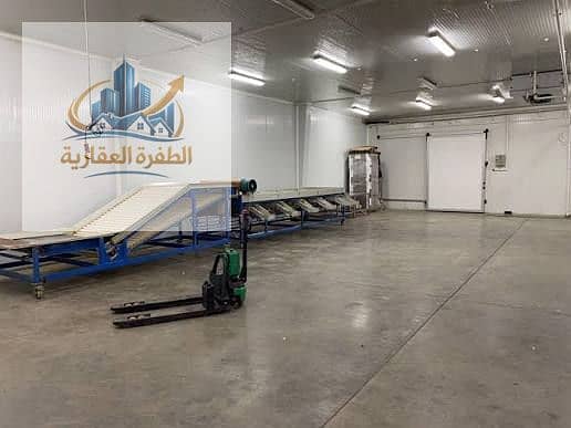 Food factory for sale in Al Alf Factory, Al Tagamoa Al Khames, Super Lux - Widok 6