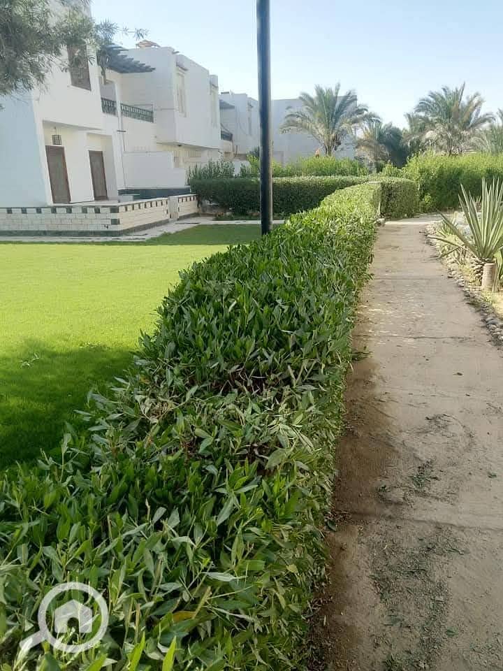 3 WhatsApp Image 2026-05-13 at 20.56. 48 (4). jpeg