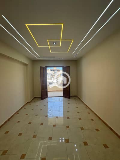 3 Bedroom Apartment for Sale in Miami, Alexandria - 144872. jpg 3 Bedroom Apartment for Sale in Miami, Alexandria - 144872. jpg