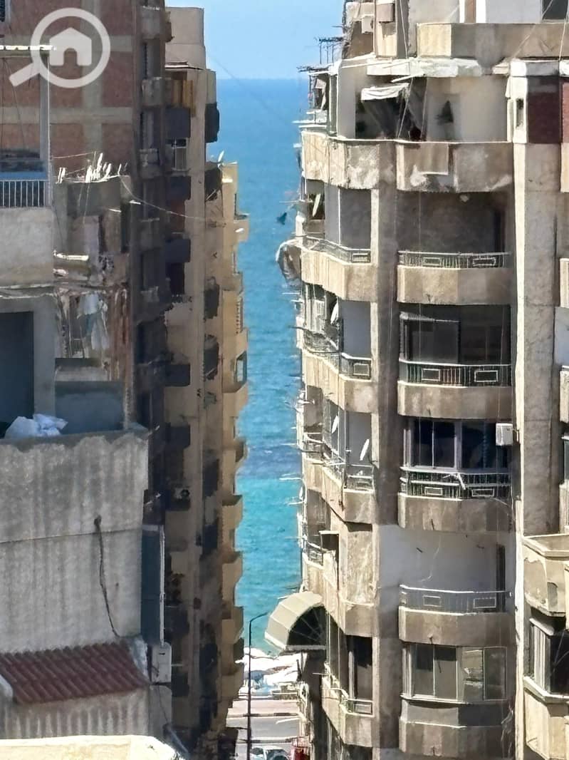 2 144870. jpg