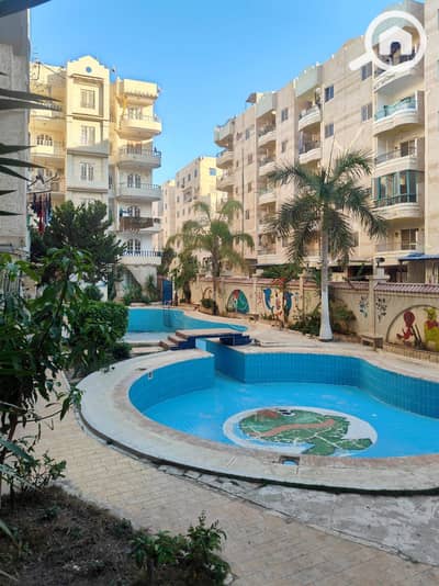 فلیٹ 3 غرف نوم للبيع في النخيل، الإسكندرية - 1000590078. jpg