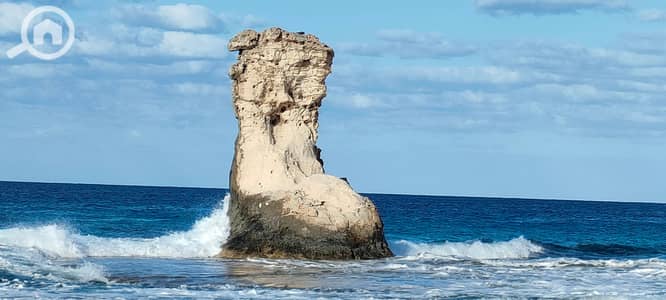 شاليه 1 غرفة نوم للبيع في مرسى مطروح، مطروح - على البحر مباشرة . . شاليه 48 م اول علوى ومفروش . . للبيع فى بورتو مطروح بسعر زمان